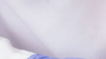 shutterstock_135461438