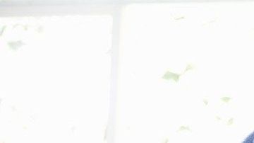 shutterstock_265580381