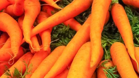 zanahorias
