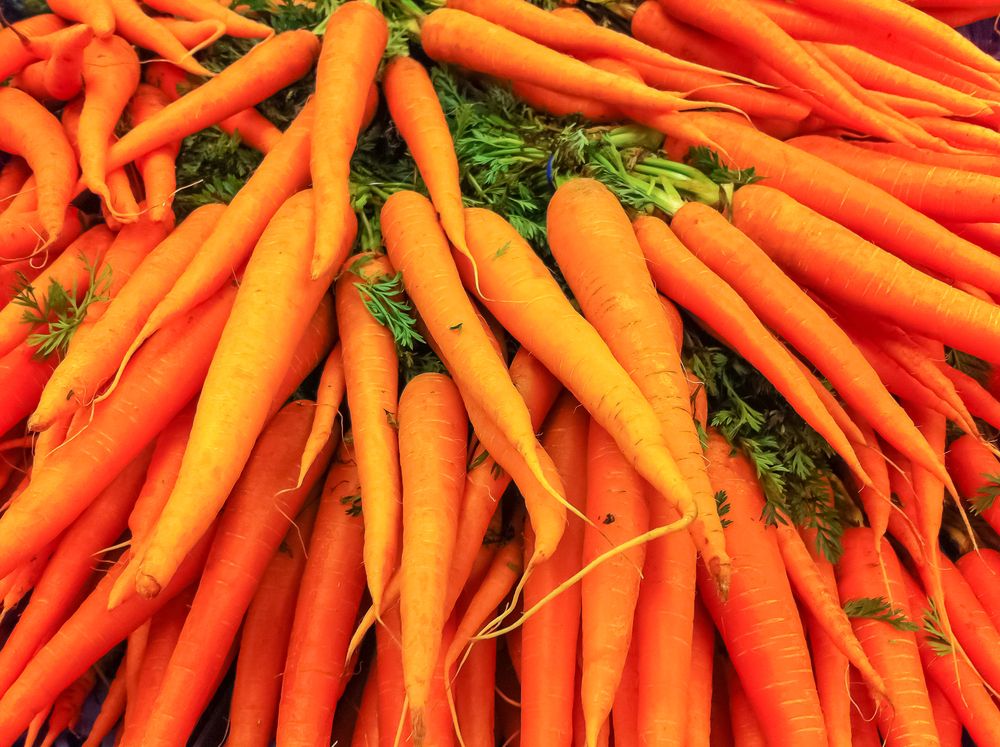 Junio es el mes Nacional de las Frutas y Verduras frescas: 10 opciones más  saludables de todos los tiempos - El Diario NY