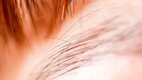 shutterstock_323794157