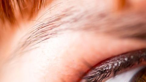 shutterstock_323794157