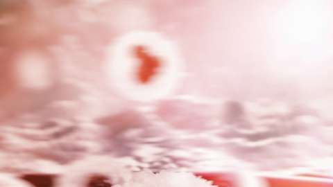 Así se ven las células cancerosas dentro del cuerpo.