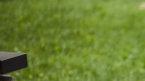 shutterstock_493296514