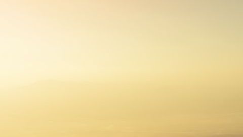 Quitando palabras de tu vocabulario lograrás el éxito.