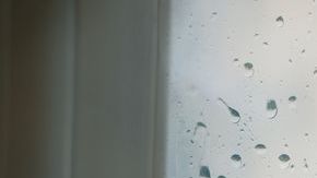 Muchas personas se deprimen durante el invierno.