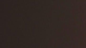 Donald Trump mintió un promedio de 15 veces al día en 2018, el triple que en 2017, según un estudio del Washington Post.