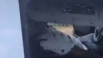 El video fue compartido desde la cuenta de Antonio Nieto.