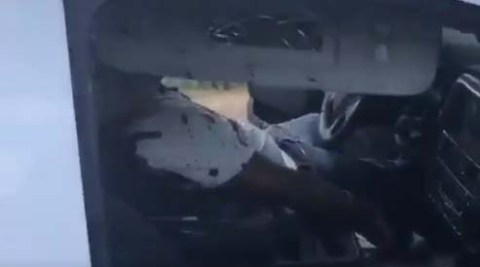 El video fue compartido desde la cuenta de Antonio Nieto.