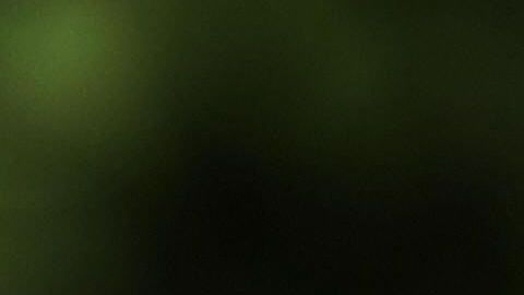 Un policía muestra el uso de una pistola taser durante un ejercicio.