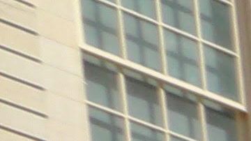 Jumaane Williams logró ganar las elecciones de este martes con el 33% de los votos en la contienda por la Defensoría del Pueblo