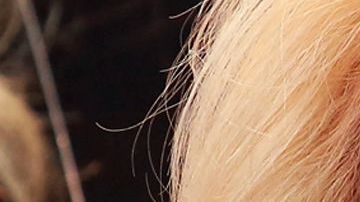 Yuri insistió en sus comentarios sobre Yaltiza.