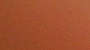 Maria Perez, 45, de Mexico. Abuso sexual a empleadas domesticas.