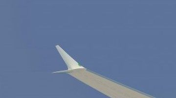 El Boeing 737 MAX 8 ha estado en el mercado apenas desde 2017.