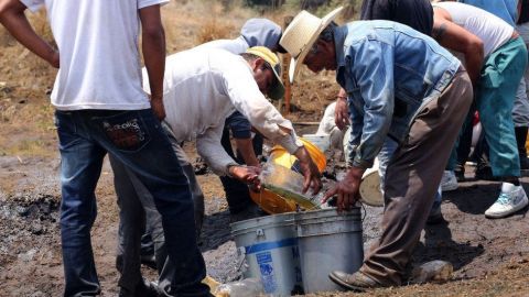 Los "huachicoleros" son las personas que se dedican al robo y comercio de combustibles, principalmente gasolina.
