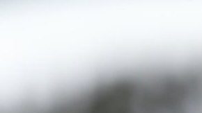 105225699_gettyimages-1094044976