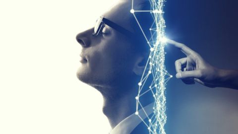 Nuestros cerebros funcionan de manera diferente a medida que avanza el día.