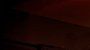 Denis Diderot se sintió tremendamente contrariado por su nueva adquisición.