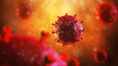 Tras el trasplante de células madre, y una terapia muy agresiva, no se ha detectado rastros del virus en el cuerpo del paciente.