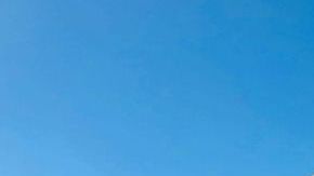 105906713_30aea542-925e-4cfa-8488-f6be4186473c