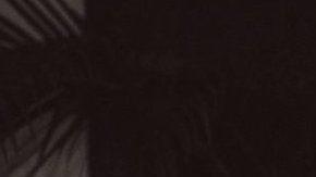 Gabriel García Márquez no permitió que "Cien años de soledad" se filmara.