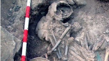 El estudio de la tumba de Castillejo del Bonete fue decisivo.