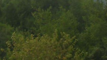 El glifosato es utilizado en muchos países.