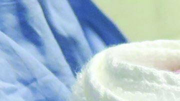 Grady a las 12 semanas.