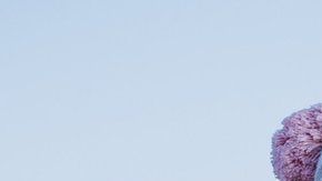 El cerebro continúa generando nuevas neuronas.