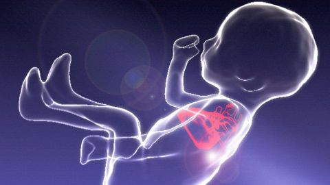 El innovador método permite obtener imágenes como esta.