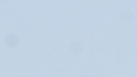 Al menos siete periodistas han sido asesinados durante el mandato de AMLO