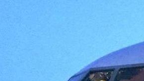 Este recurso sólo puede ser obtenido en las cortes migratorias