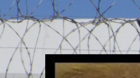 Las autoridades han capturado a más de 15 personas robando el alambre