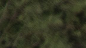 Reporte del Wall Street Journal dio a conocer la noticia