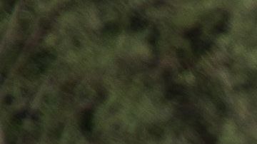 Reporte del Wall Street Journal dio a conocer la noticia