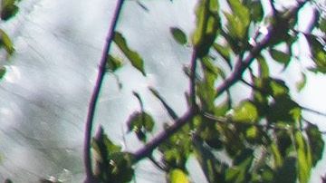 Frontera CBP U.S. Border Patrol arrests aliens illegally entering the United States