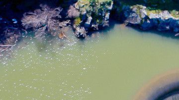 Desagüe de la represa Monticello.