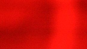 El senador John McCain.