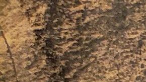 La defensa de "El Chapo" acusó que "Mayo" Zambada siga libre y se juzgue a su cliente.