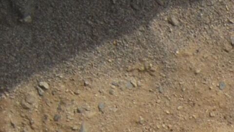 Los restos de los niños fueron hallados en Perú.