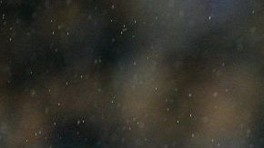 Jugadores del Porto celebran la victoria ante la Roma en octavos de final de la Champions League.