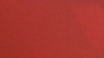 El presidente mexicano ha desatados varias polémicas.