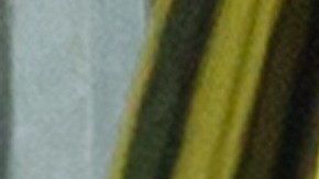 Un hombre tiroteó a los asistentes en una mezquita en Nueva Zelanda.