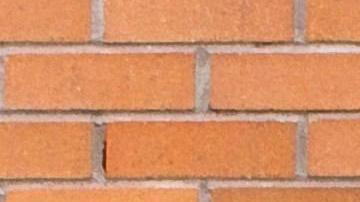 Ciudades como Nueva York, Houston, Chicago, Georgia, Boston, Filadelfia y San Antonio han tomado medidas para proteger a la comunidad musulmana.