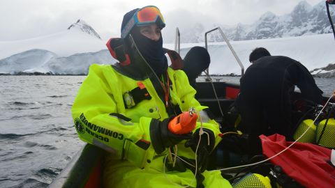 Científicos chilenos analizan la variación en la salinidad del mar cercano al glaciar Collins.