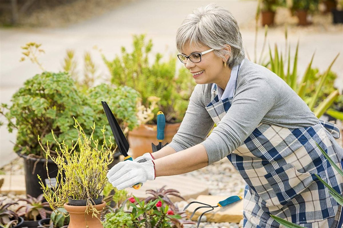 4 sets de jardinería para sembrar flores en tu patio cuando hace sol 4 sets de jardinería para sembrar flores en tu patio cuando hace sol