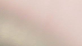 Los lazos de dueños y autos son más fuertes de lo que pensábamos