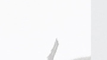 El momento fue captado por el fotógrafo Roger Stevens Jr.