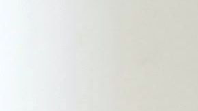 La Universidad de Princeton (Nueva Jersey), donde era profesor, anunció este lunes su fallecimiento.