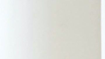 La Universidad de Princeton (Nueva Jersey), donde era profesor, anunció este lunes su fallecimiento.